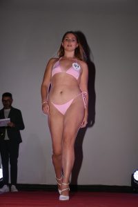 DSC 9137