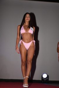 DSC 9207
