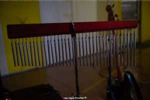 22112025-DSC 2034