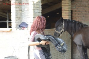 Ph. Bruno Angelo Porcellana - Alessia de Pasquale  