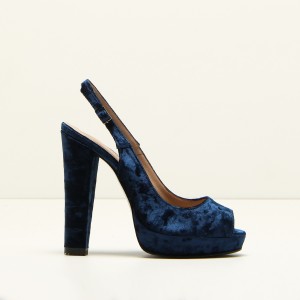 E11_ciniglia_blu_01_MICHELE LOPRIORE