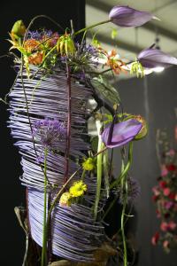 IMG 4555