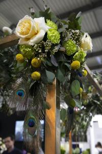 IMG 4675