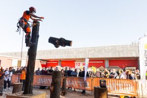 IMG 7114