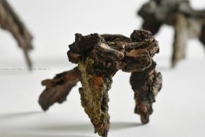 Rebecca-Ganima-Michelini-Golem-dormienti-2022-installazione-materiali-vari-dettaglio